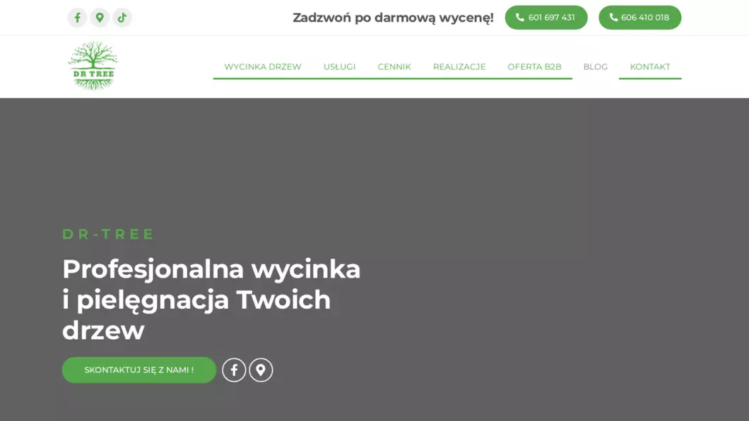 Zrzut ekranu strony Wycinka, pielęgnacja drzew Kraków | Dr-tree